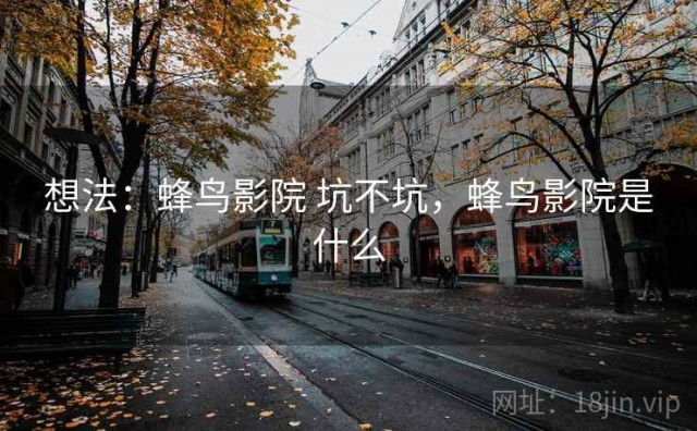 想法：蜂鸟影院 坑不坑，蜂鸟影院是什么