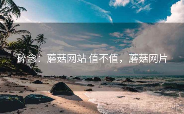 碎念：蘑菇网站 值不值，蘑菇网片
