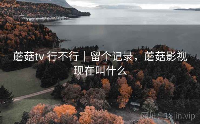 蘑菇tv 行不行｜留个记录，蘑菇影视现在叫什么