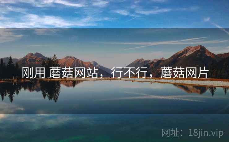 刚用 蘑菇网站，行不行，蘑菇网片
