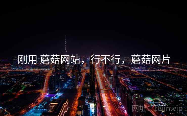 刚用 蘑菇网站，行不行，蘑菇网片