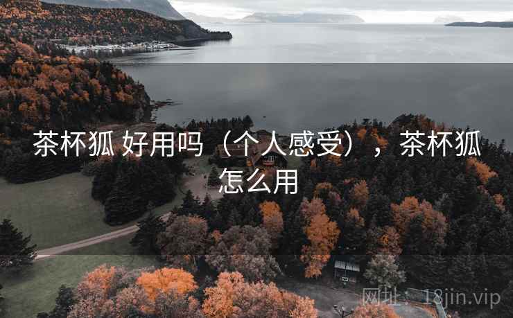 茶杯狐 好用吗（个人感受），茶杯狐怎么用